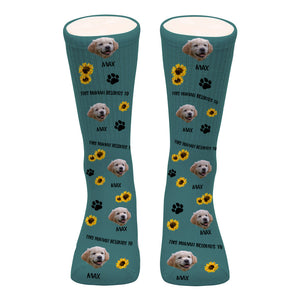 This Human Belongs To - Dog gift for cat lover - Personalized Socks