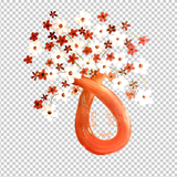 MULTIPLE SCLEROSIS AWARENESS 343