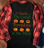TEACHER 134