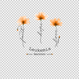 LEUKEMIA AWARENESS 4