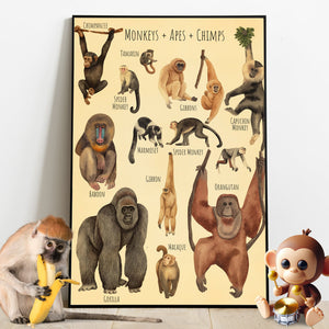 A Beautiful Selection - Canvas And Poster