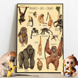 A Beautiful Selection - Canvas And Poster