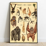 A Beautiful Selection - Canvas And Poster