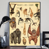 A Beautiful Selection - Canvas And Poster
