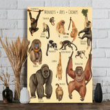 A Beautiful Selection - Canvas And Poster