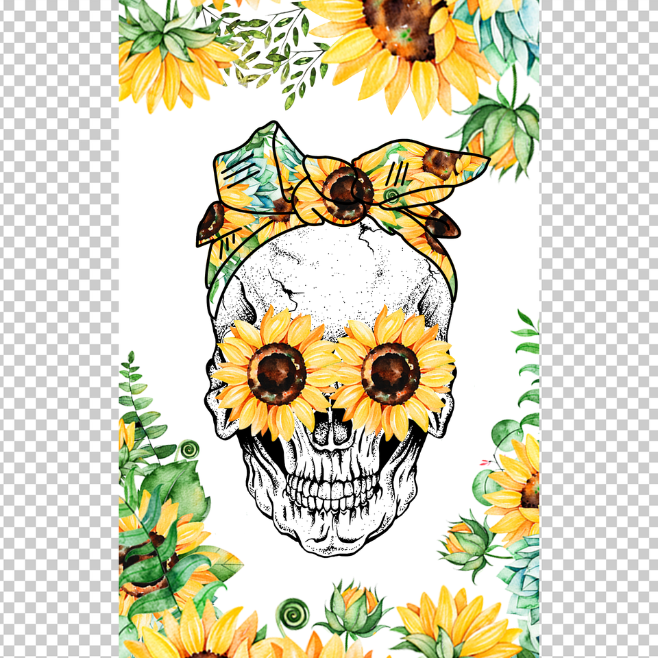 SKULL 10