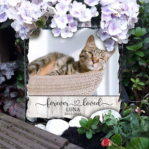 Forever Loved Cat Dog - Gift for dog lovers, who lost cat, who lost dog - Personalized Square Shaped Stone