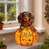 Fall Season Cute Pets - Personalized Dog Solar Acrylic Light