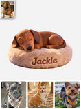 Peaceful Sleeping Dog - Personalized Dog Car Dashboard Plaque