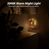 Together Since - Personalized Couple Acrylic Plug-In Night Light