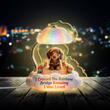 I Crossed The Rainbow Bridge - Personalized Dog Acrylic LED Night Light