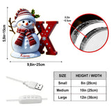 Merry Christmas - Personalized Family Acrylic LED Night Light