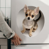 Your Dog Peeking Out Funny - Personalized Dog Decal Full