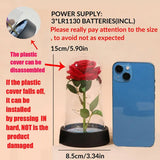 Rose Flower Decoration Lamp