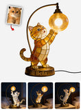 Any Photo Funny Pet Bitting Wire - Personalized Cat Acrylic LED Night Light