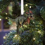 24 Dinosaurs Species Gift For Boys - Personalized Kid Folded Advent Calendar With Ornaments