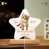 The Brightest Star In The Sky - Cat gift for who lose cat - Personalized Shaped Plaque Light Base