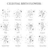 Zodiac Sign Birth Flower - Personalized Horoscope Can Glass