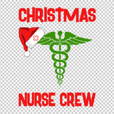 NURSE 243