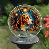 You Were My Favorite Hello - Personalized Dog Garden Solar Light