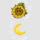 HIPPIE 263