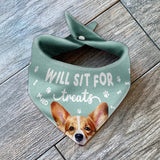 Will Sit For Treats - Personalized Dog Pet Bandana