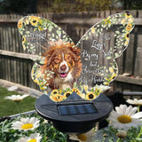 If Love Could Have Saved You - Personalized Dog Garden Solar Light