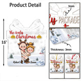 The Only Package I Want For Christmas Is Yours - Personalized Couple Transparent Ornament