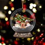 On The Naughty List - Personalized Cat Transparent Ornament