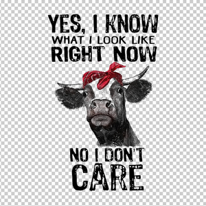 COW 77