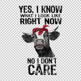 COW 77