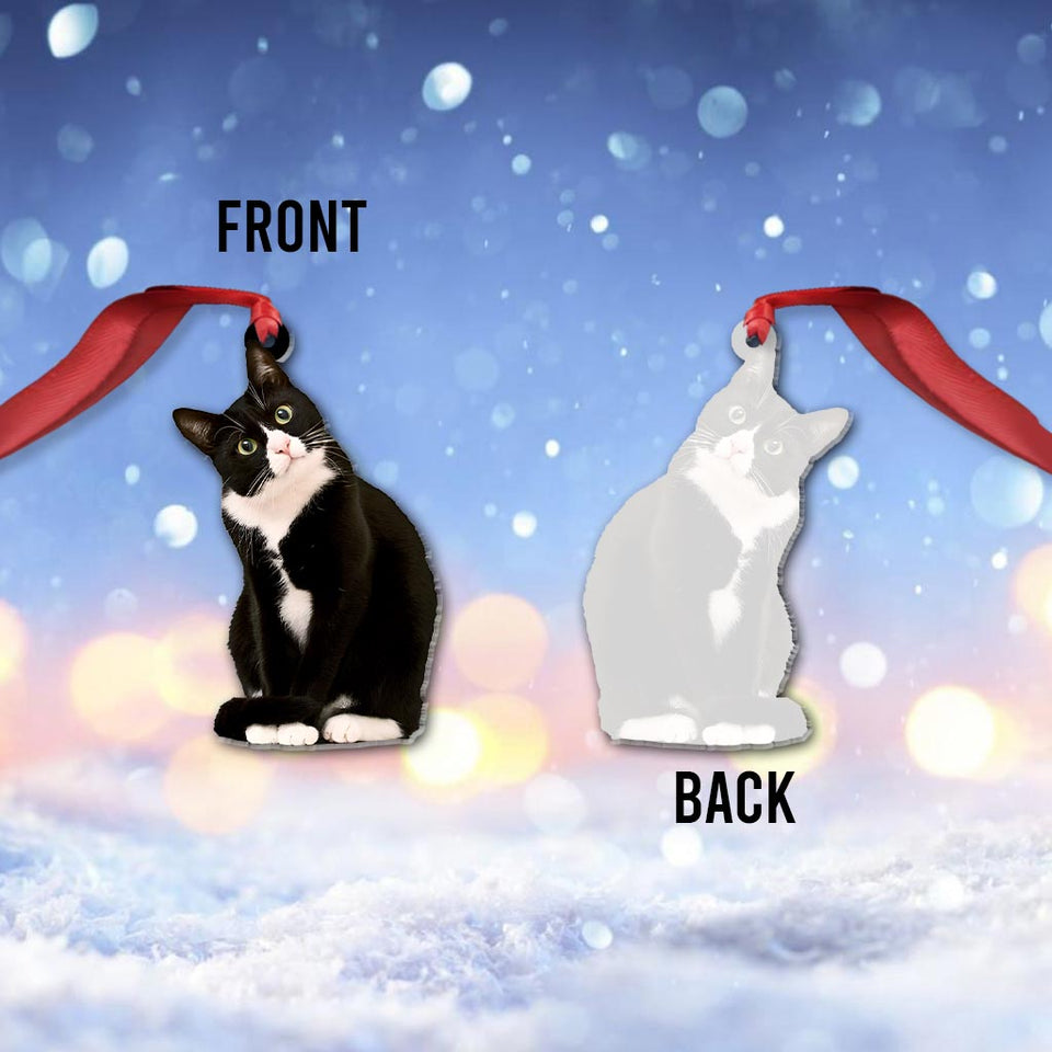 Dog And Cat - Personalized Dog Ornament