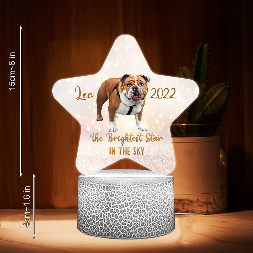 The Brightest Star In The Sky - Cat gift for who lose cat - Personalized Shaped Plaque Light Base