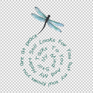 DRAGONFLY 5