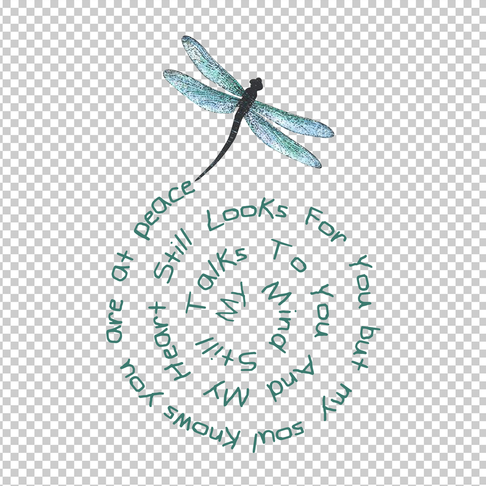 DRAGONFLY 5