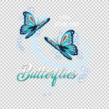 BUTTERFLY 19