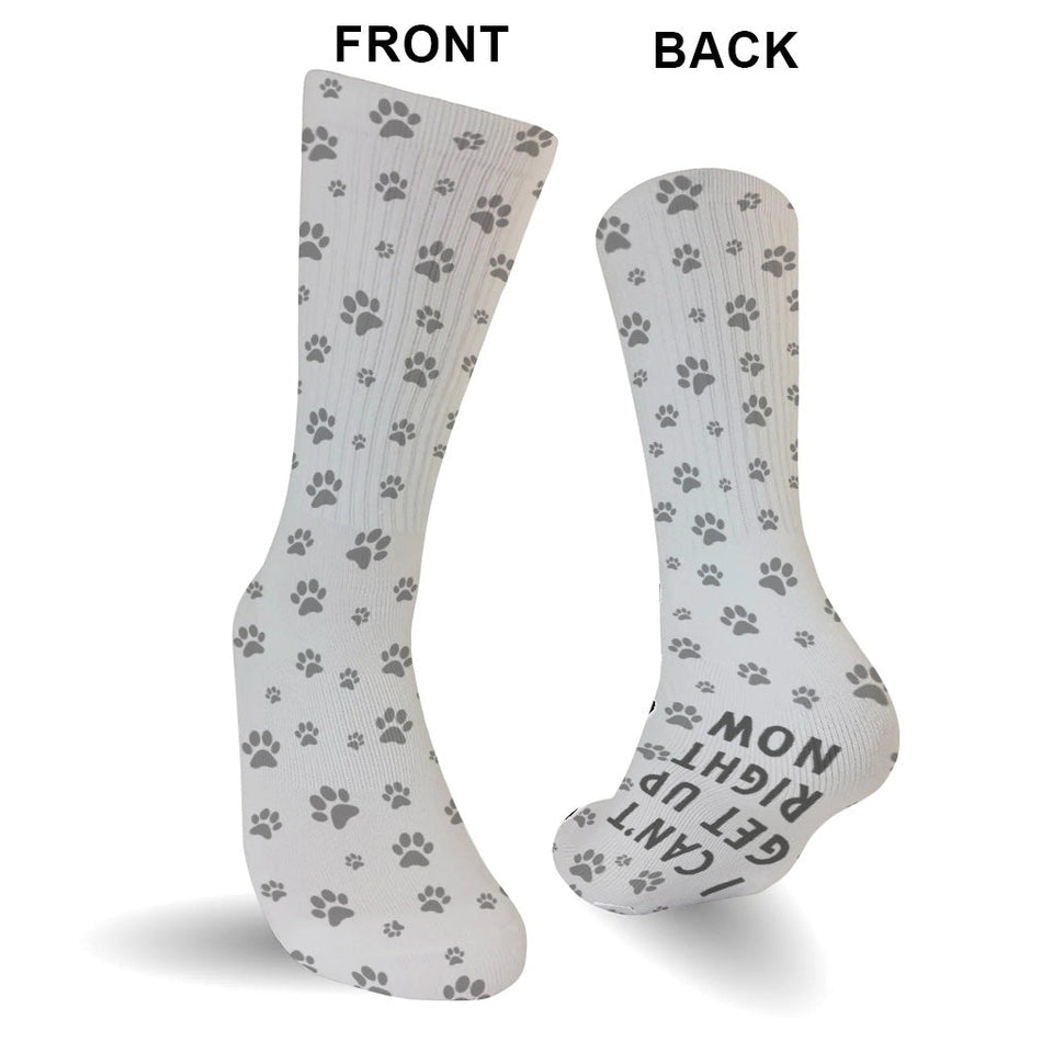 I Can Get Up Right Now - Cat gift for dog lover - Personalized Socks