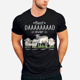 Best Dad Best Mom Ever - Gift for dad, mom - Personalized T-shirt And Hoodie