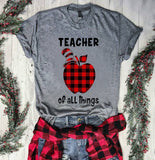 TEACHER 620
