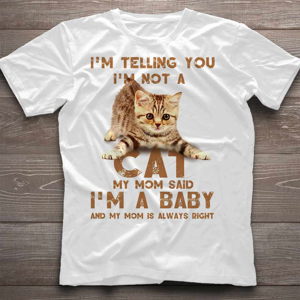Love Little Cats T-shirt And Hoodie 062021