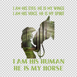 HORSE 6