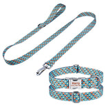 Personalized Text Engraved Dog Collar With Leash Set
