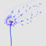 SUICIDE PREVENTION 167