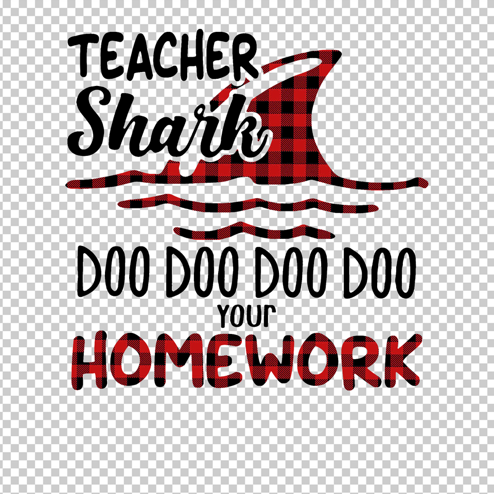 TEACHER 158