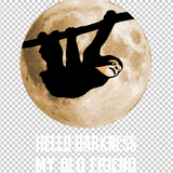 SLOTH 73