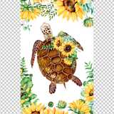 TURTLE 45