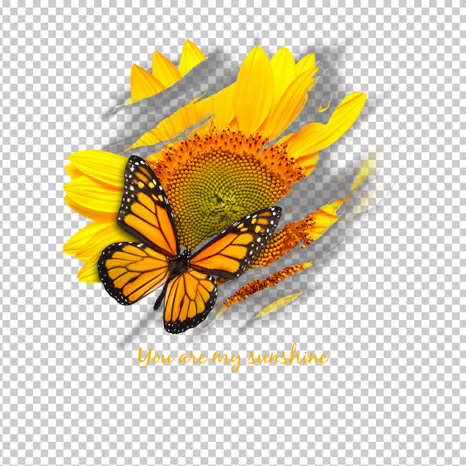 BUTTERFLY 4