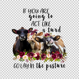 COW 113