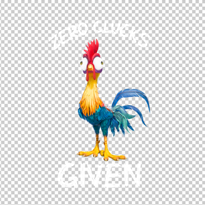 CHICKEN 27
