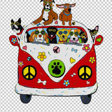 HIPPIE 313